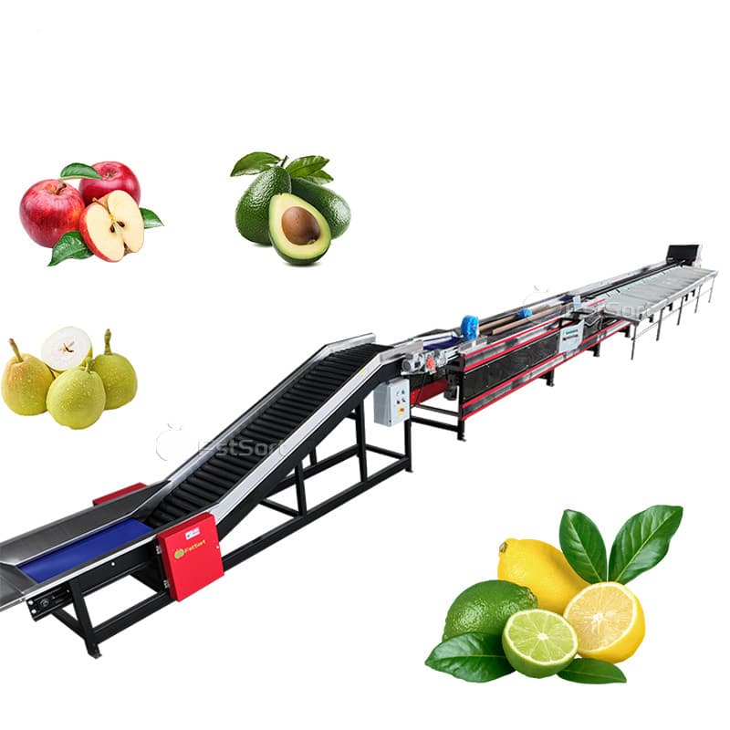 images/1768358187017Zhengzhou-First-Industry-Co-Ltd- (1).jpg